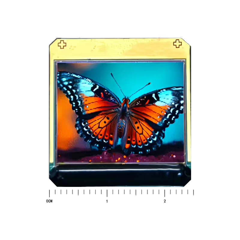 RVXR 096