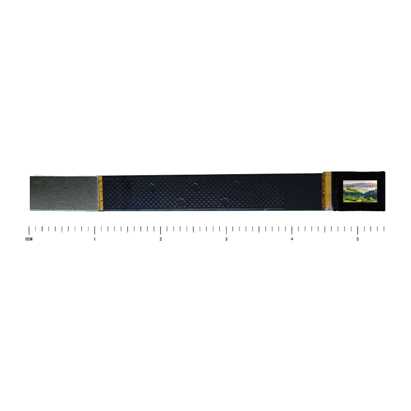 RVXR 023