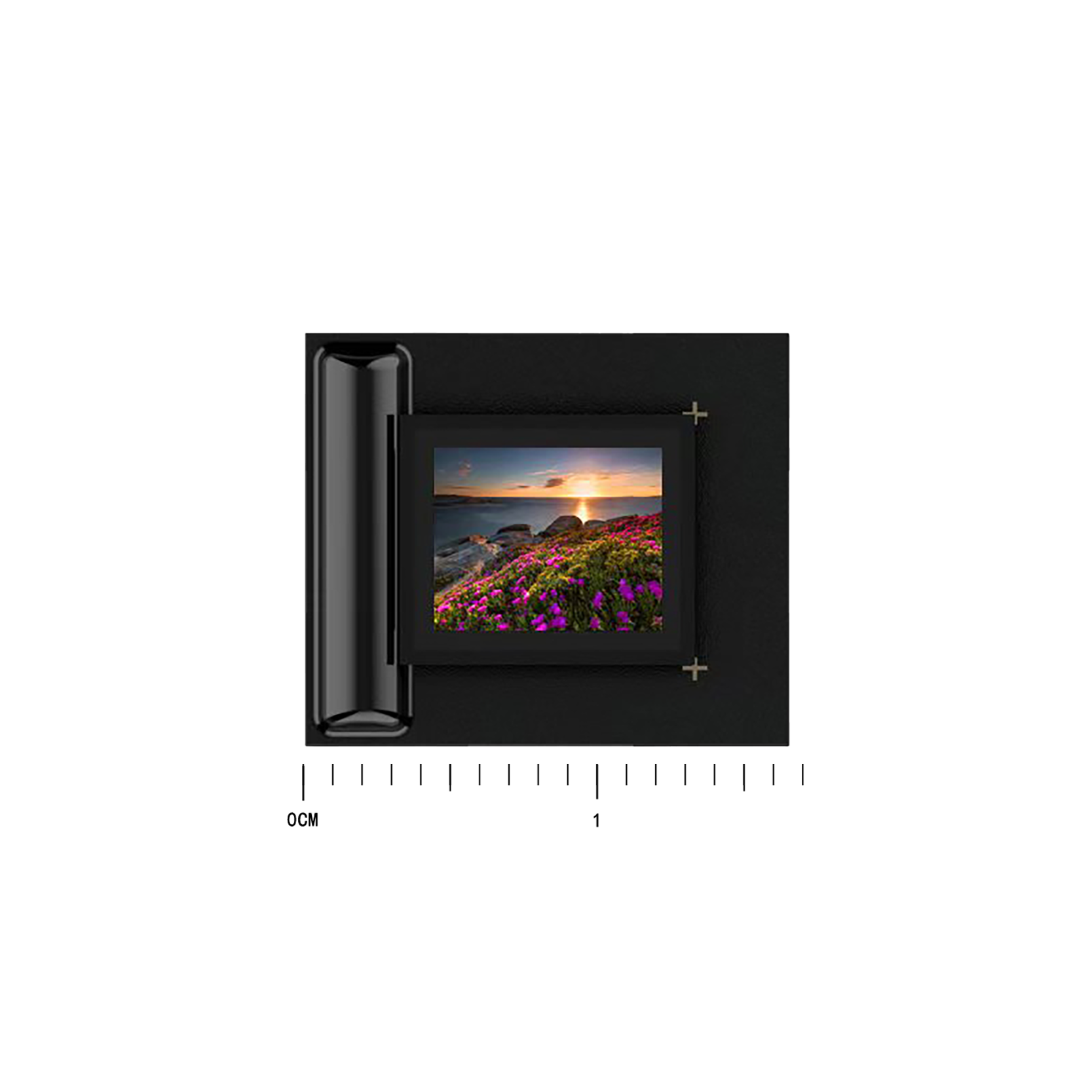 RVXR 039