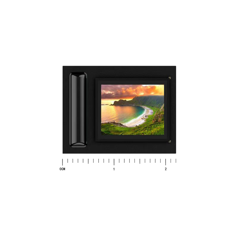RVXR 061